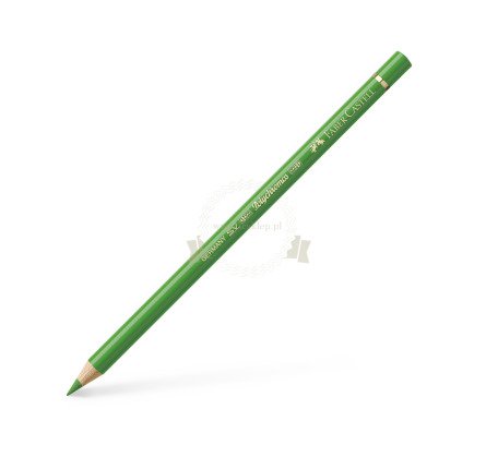 Kredka Polychromos Leaf Green 112