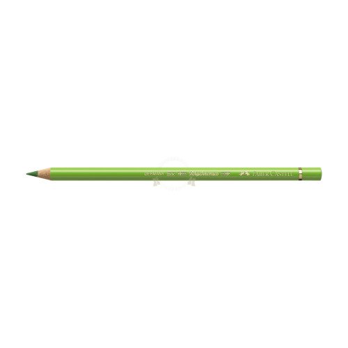 Kredka polychromos 170 May Green